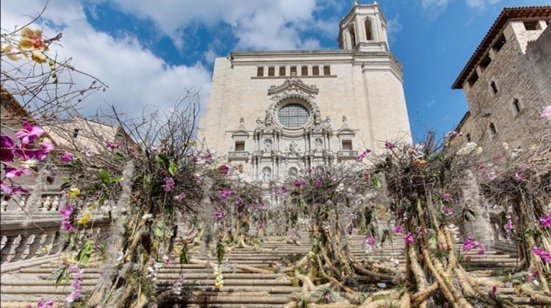 Appartamento Global Immo 3347 LA SOLANA Roses Esterno foto